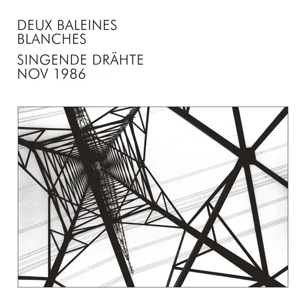 Album artwork for Singende Drähte by Deux Baleines Blanches