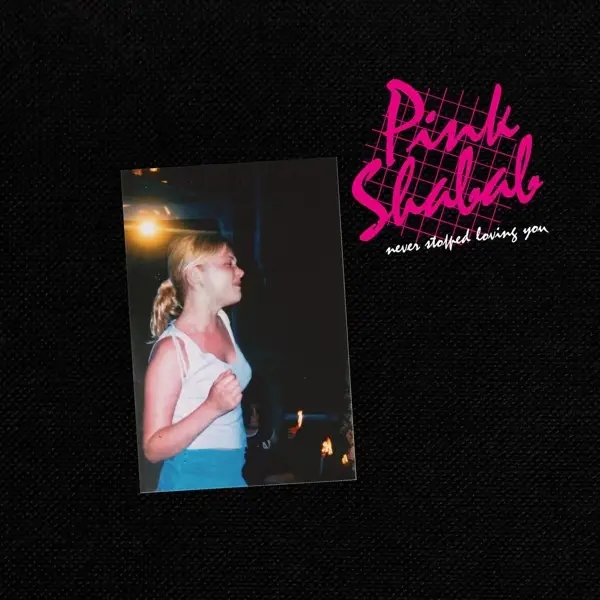 Album artwork for Never Stopped Loving You by Pink Shabab