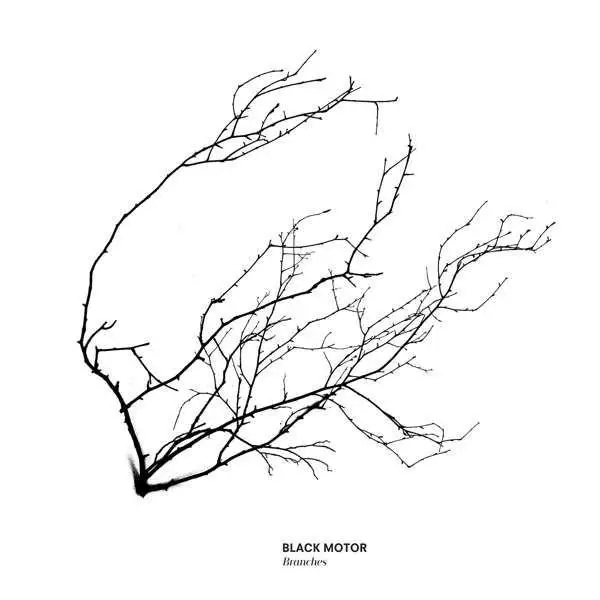 Album artwork for Branches by  Black Motor