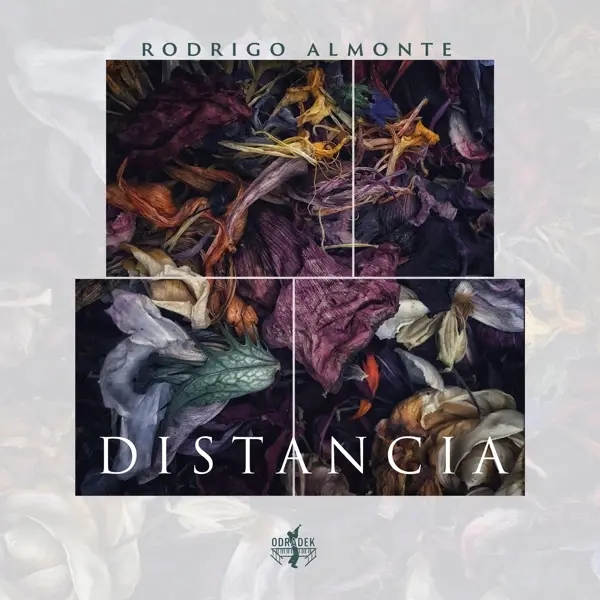 Album artwork for Distancia by Rodrigo Almonte
