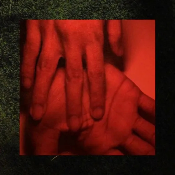 Album artwork for Our Hands Against The Dusk by Rashika Nayer