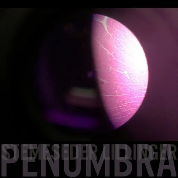 Album artwork for Penumbra by Christian/Stemeseder,Elias Lillinger