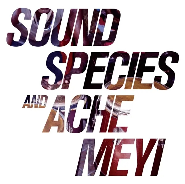 Album artwork for Soundspecies & Ache Meyi by Soundspecies/Ache Meyi