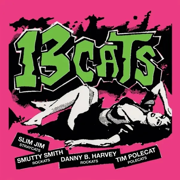 Album artwork for 13 Tracks by Thirteen Cats