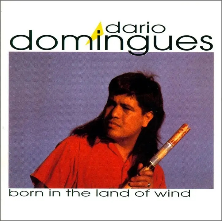 Album artwork for Born In The Land Of Wind by Dario Domingues