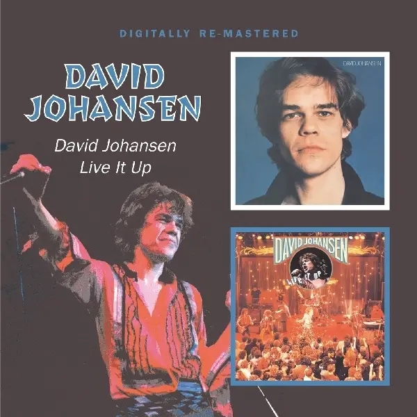 Album artwork for David Johansen/Live It Up by David Johansen