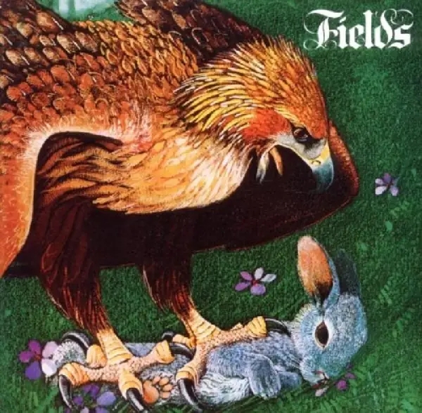 Album artwork for Fields by Fields