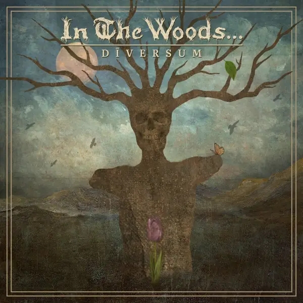 Album artwork for Diversum by In The Woods