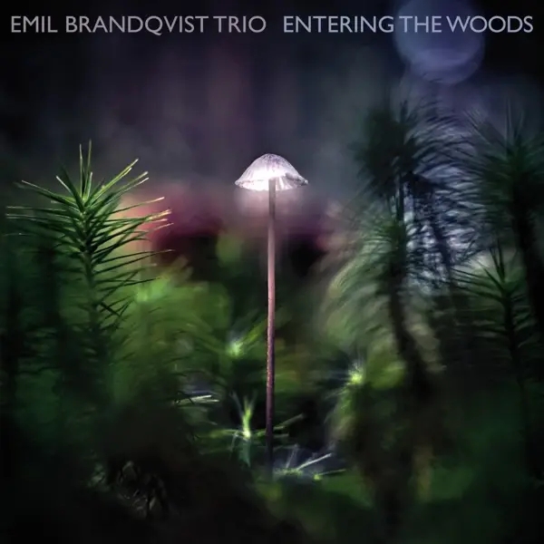 Album artwork for Entering The Woods by Emil Brandqvist Trio