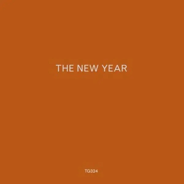 Album artwork for The New Year by The New Year