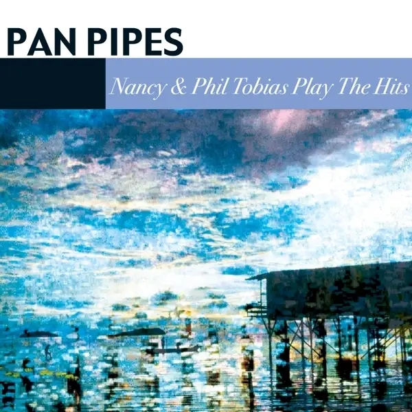 Album artwork for Play The Hits by Panpipes