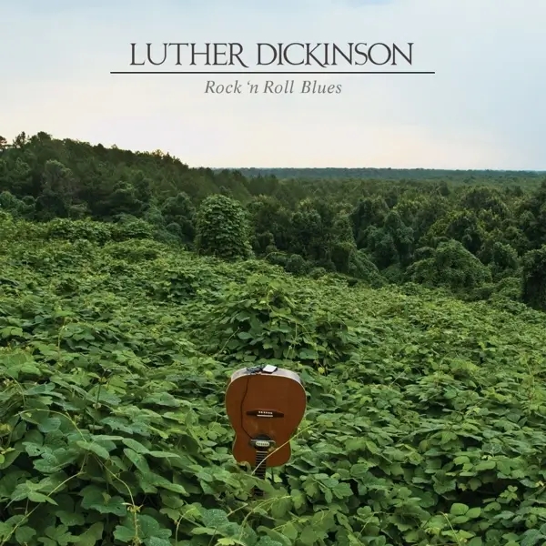 Album artwork for Rock 'n Roll Blues by Luther Dickinson