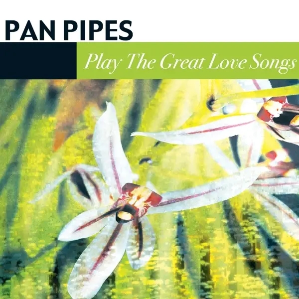 Album artwork for Great Love Songs by Panpipes