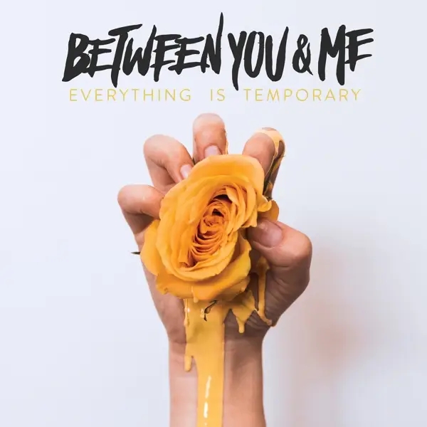 Album artwork for Everything Is Temporary by Between You And Me