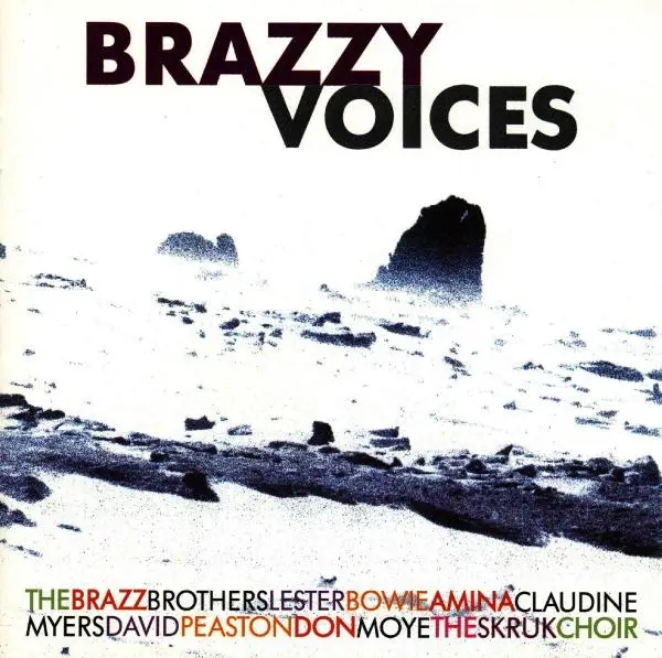 Album artwork for Brazzy Voices by The Brazz Brothers