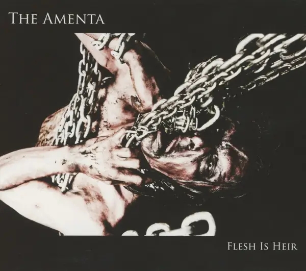 Album artwork for Flesh Is Heir by The Amenta