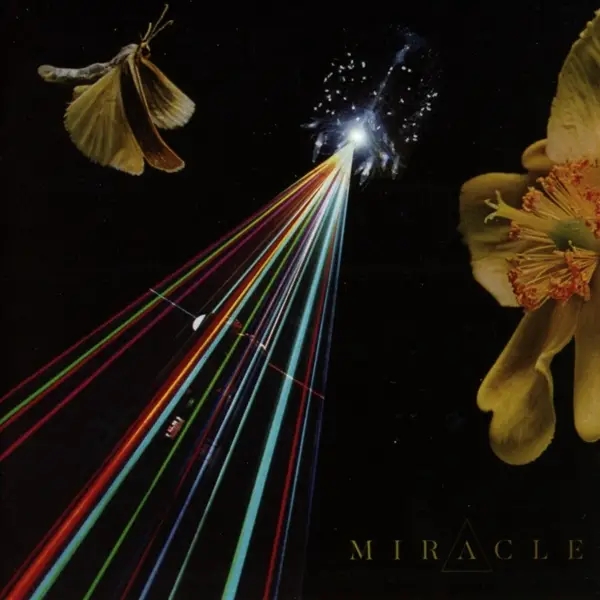Album artwork for Strife Of Love In A Dream by Miracle