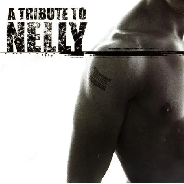 Album artwork for Tribute To Nelly by Various