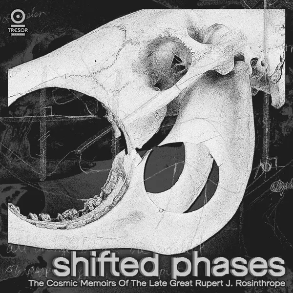 Album artwork for The Cosmic Memoirs Of The Late Great Rupert J.Ros by Shifted Phases