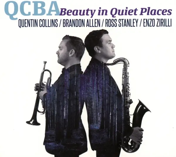 Album artwork for Beauty In Quiet Places by Qcba