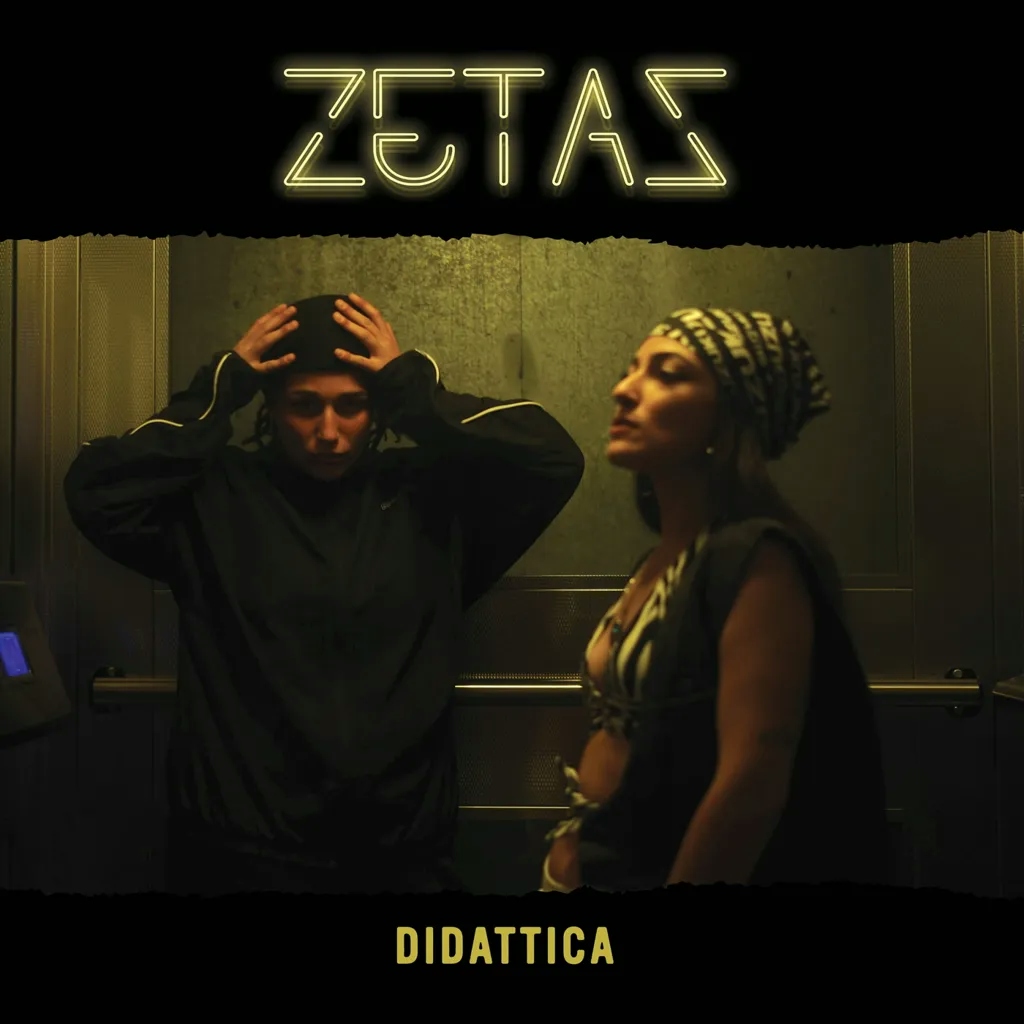 Album artwork for Didattica by Zetas