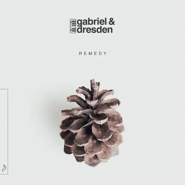 Album artwork for Remedy by Gabriel And Dresden