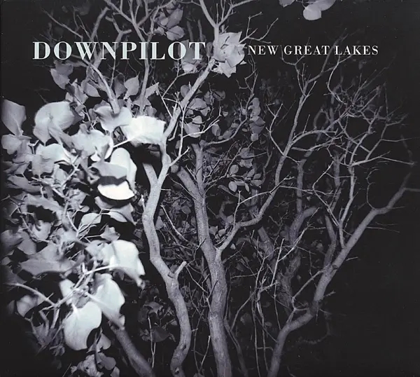 Album artwork for New Great Lakes by Downpilot