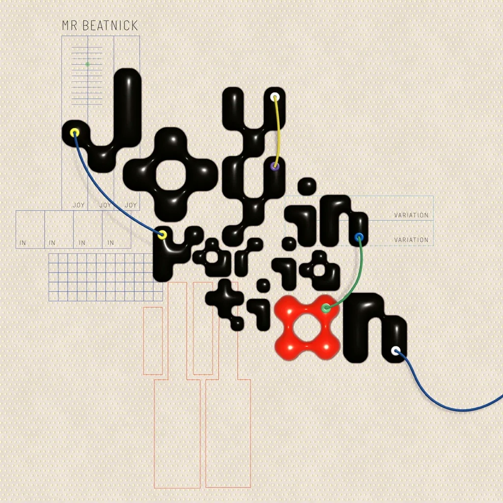 Album artwork for Joy in Variation by Mr Beatnick