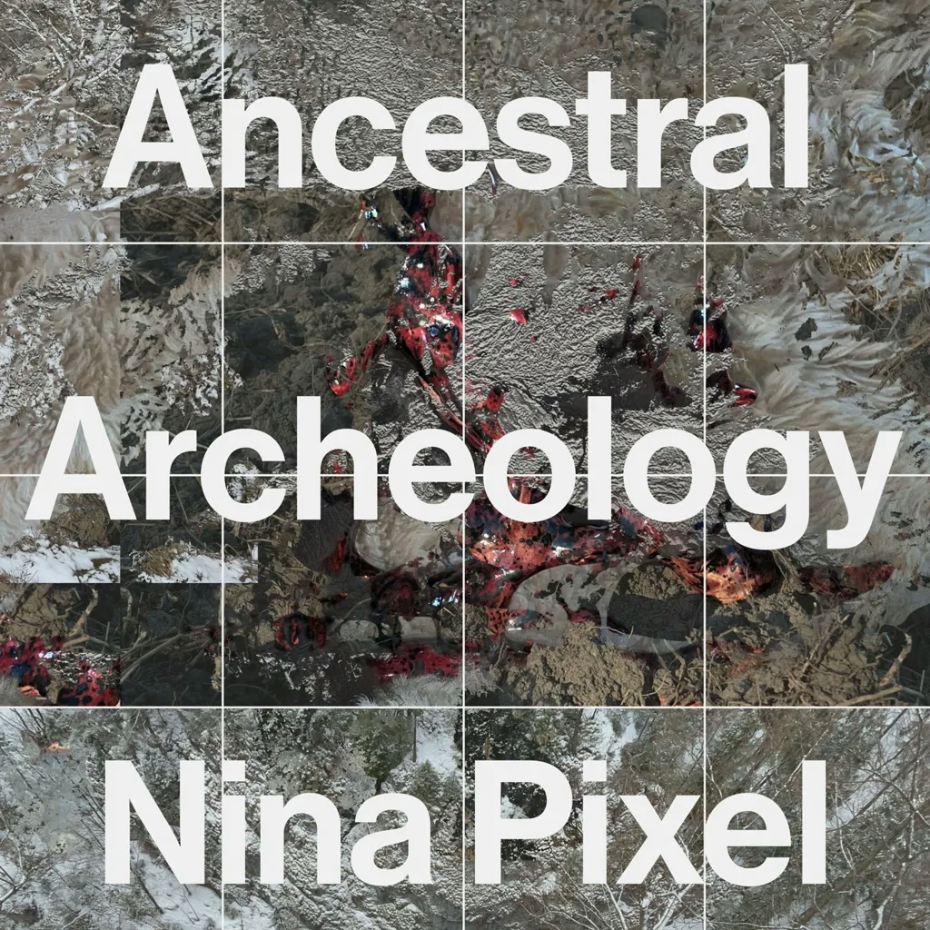 Album artwork for Ancestral Archeology by Nina Pixel
