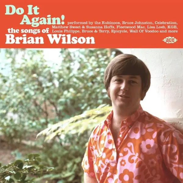 Album artwork for Do It Again! The Songs Of Brian Wilson by Various