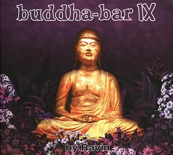 Album artwork for Buddha-Bar IX by Various