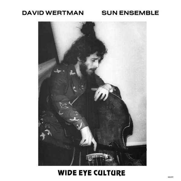 Album artwork for Wide Eye Culture by David And Sun Ensemble Wertman