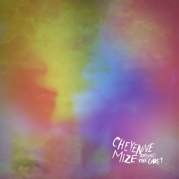 Album artwork for Among The Grey by Cheyenne Mize