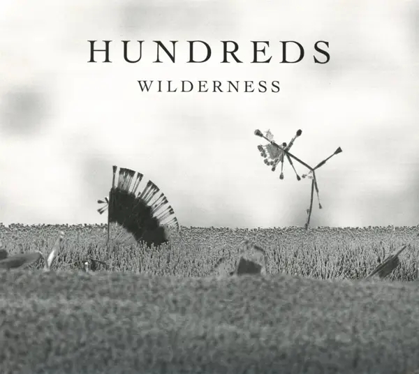 Album artwork for Wilderness by Hundreds