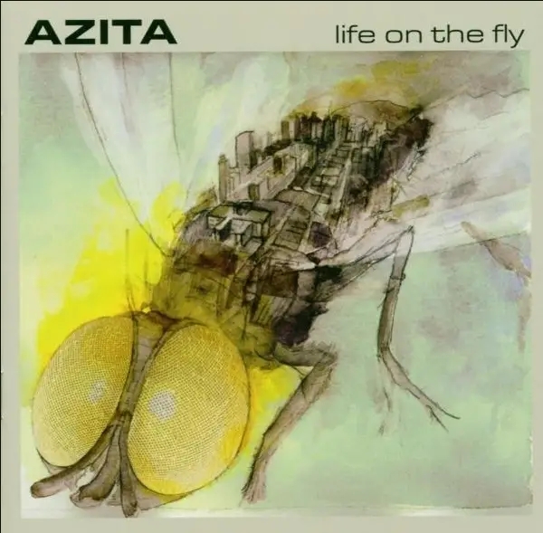 Album artwork for Life On The Fly by Azita