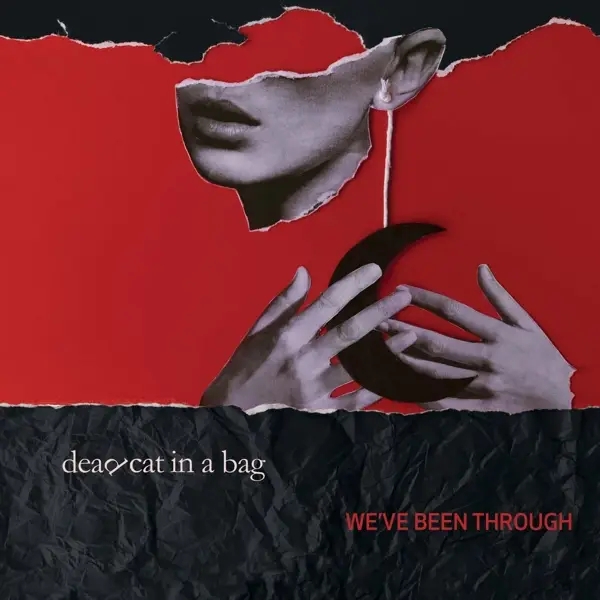 Album artwork for We've Been Through by Dead Cat in a Bag