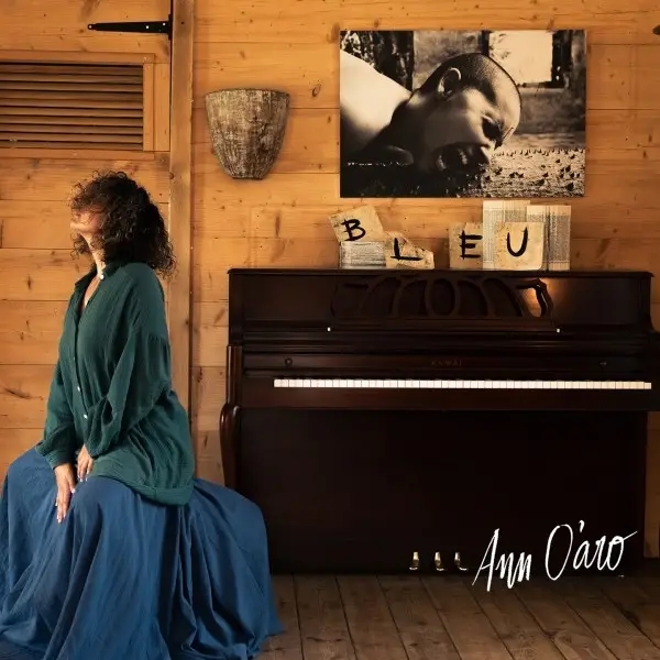 Album artwork for Bleu by Ann Oaro