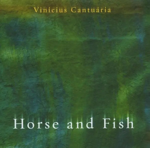 Album artwork for Horse And Fish by Vinicius Cantuaria