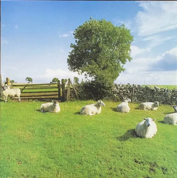 Album artwork for Chill Out by The KLF