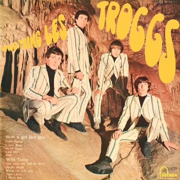 Album artwork for Wild Thing by Troggs