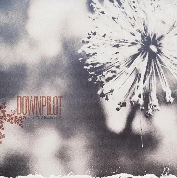Album artwork for Like You Believe It by Downpilot