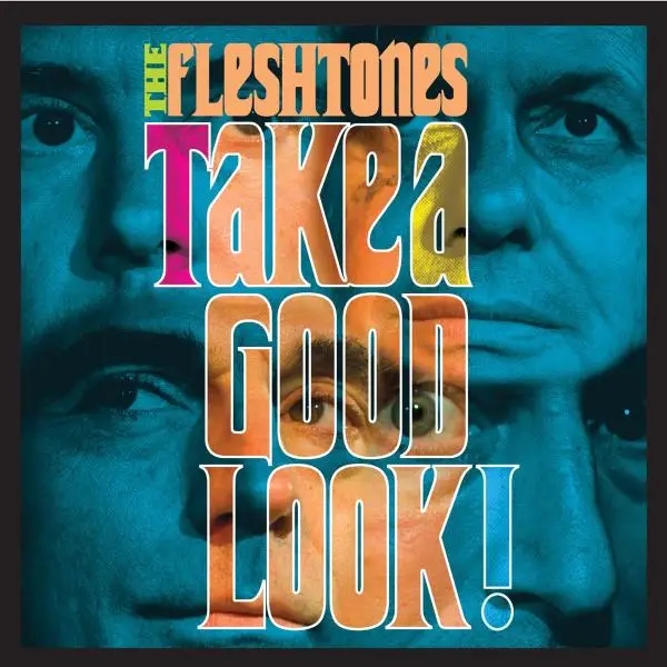 Album artwork for Take A Good Look by Fleshtones