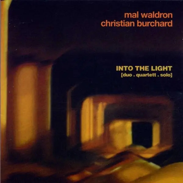 Album artwork for Into The Light by Mal And Burchard,Christian Waldron
