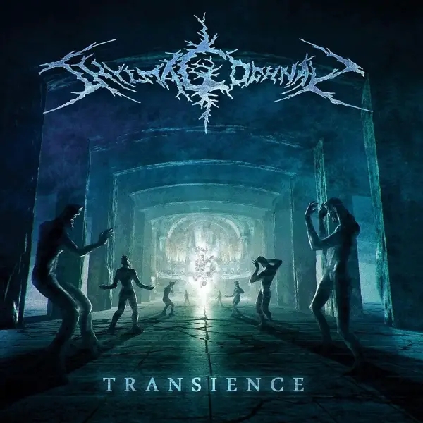Album artwork for Transience by Shylmagoghnar