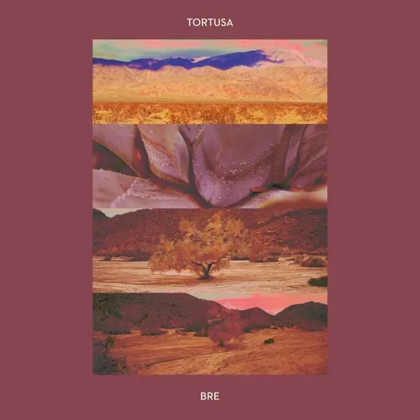 Album artwork for Bre by Tortusa