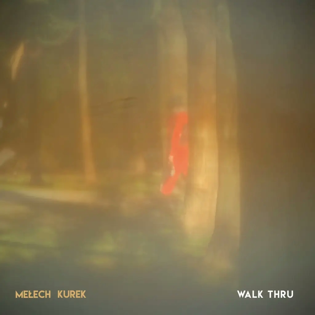 Album artwork for Walk Thru by Piotr Melech, Wojtek Kurek