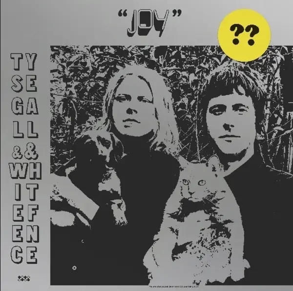 Album artwork for Joy by Ty And White Fence Segall