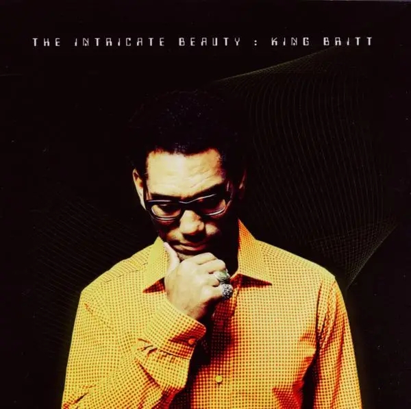 Album artwork for The Intricate Beauty by King Britt