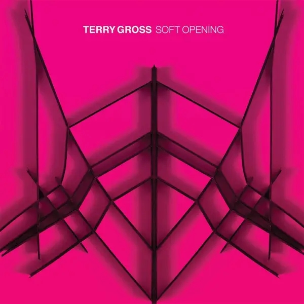 Album artwork for Soft Opening by Terry Gross