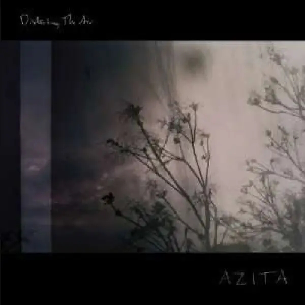 Album artwork for Disturbing The Air by Azita
